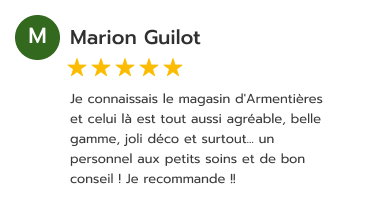 Avis Google