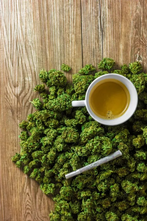 Infusion au CBD : bienfaits, Armentières, L'Atelier Naturel
