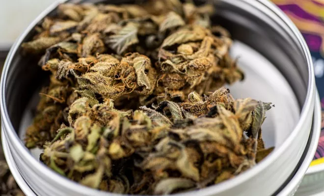 Accessoires pour l’extraction du CBD, Armentières, L'Atelier Naturel