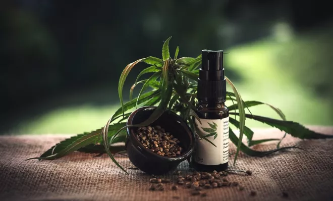 E-liquide à base de CBD, Armentières, L'Atelier Naturel